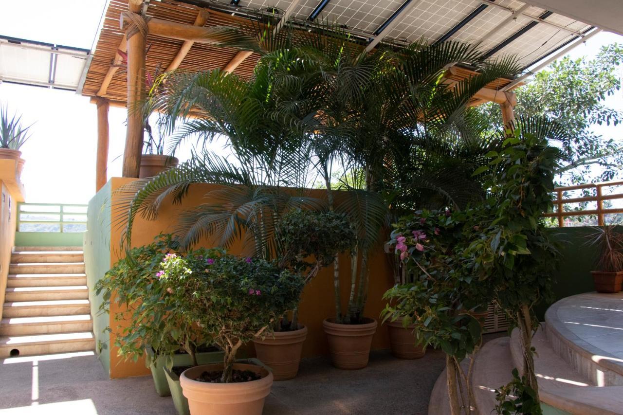Mboutique Hotel Sayulita Kültér fotó